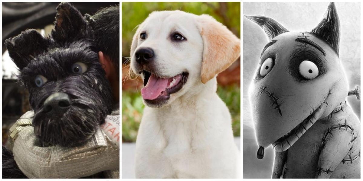 10 cães icônicos do cinema