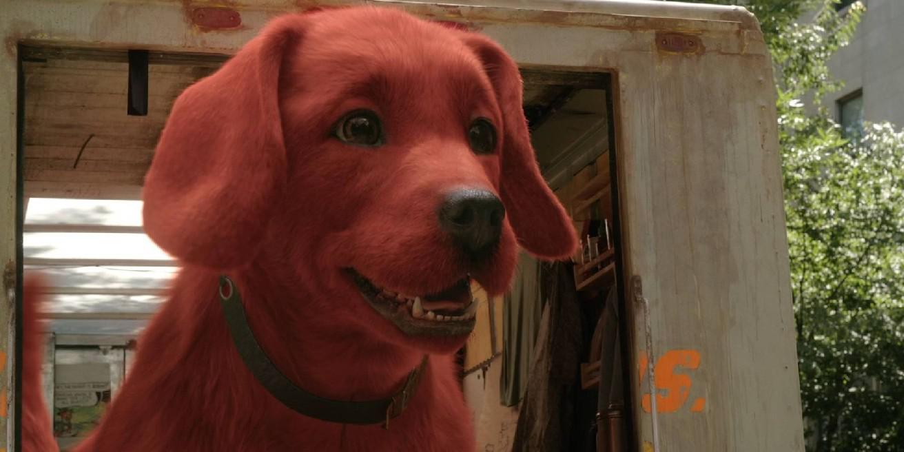 10 cães icônicos do cinema
