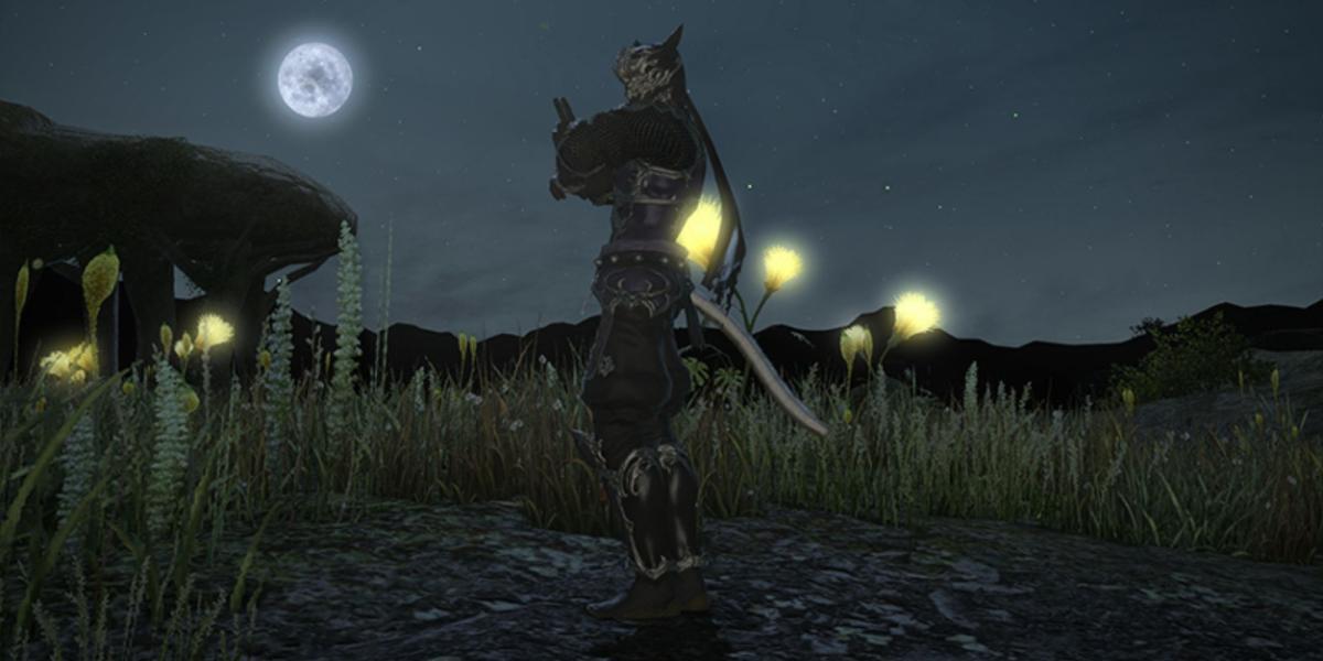 Captura de tela de Final Fantasy XIV Ninja