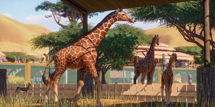 10 segredos que muitos jogadores ainda não encontraram no Planet Zoo