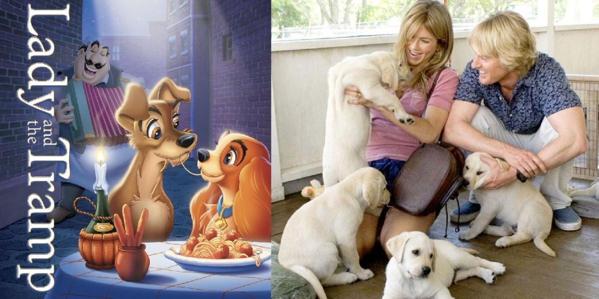 14 melhores filmes de cachorro, classificados