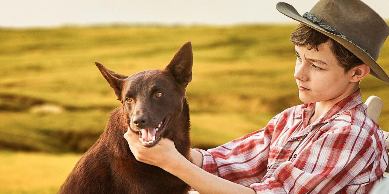 14 melhores filmes de cachorro, classificados