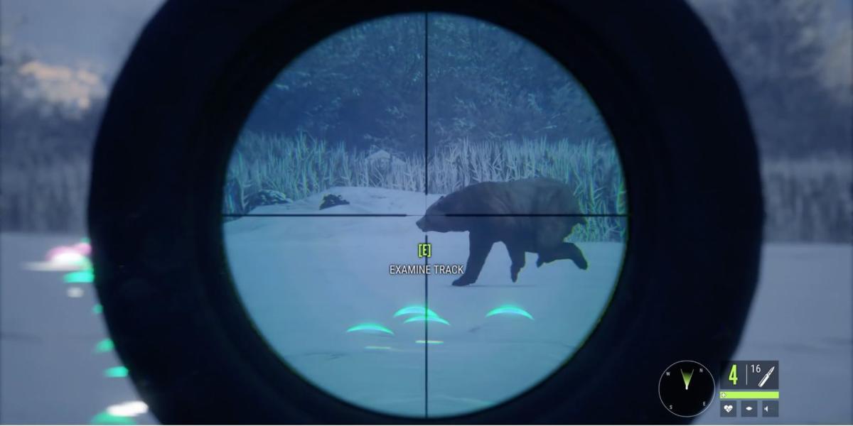 theHunter_ Call of the Wild - O jogador avista o Urso Negro