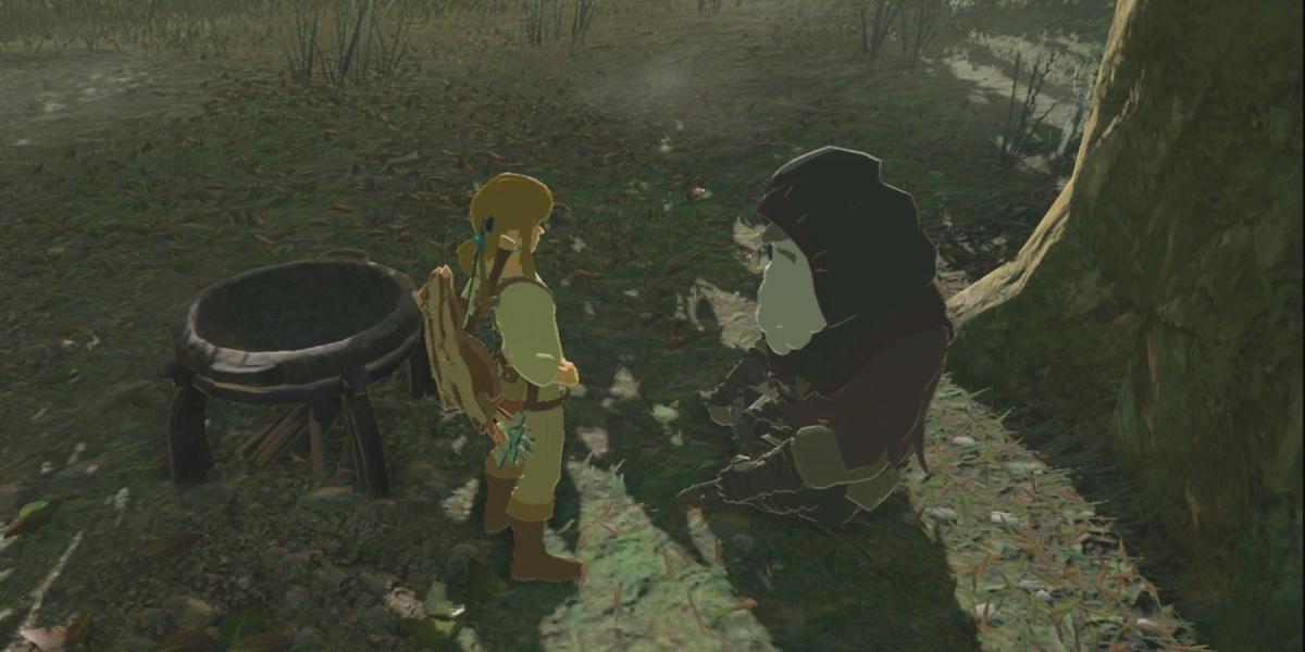 Link parado entre o rei Rhoam e uma panela em The Legend of Zelda: Breath of the Wild
