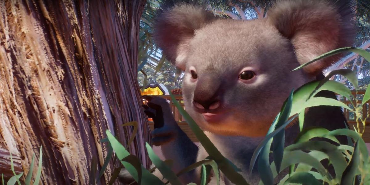 Captura de tela do Planet Zoo com um coala