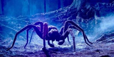 5 filmes de terror subestimados sobre aranhas