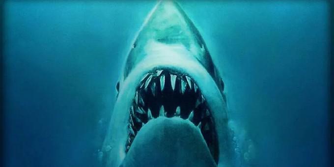 6 coisas que o Jaws erra sobre os tubarões