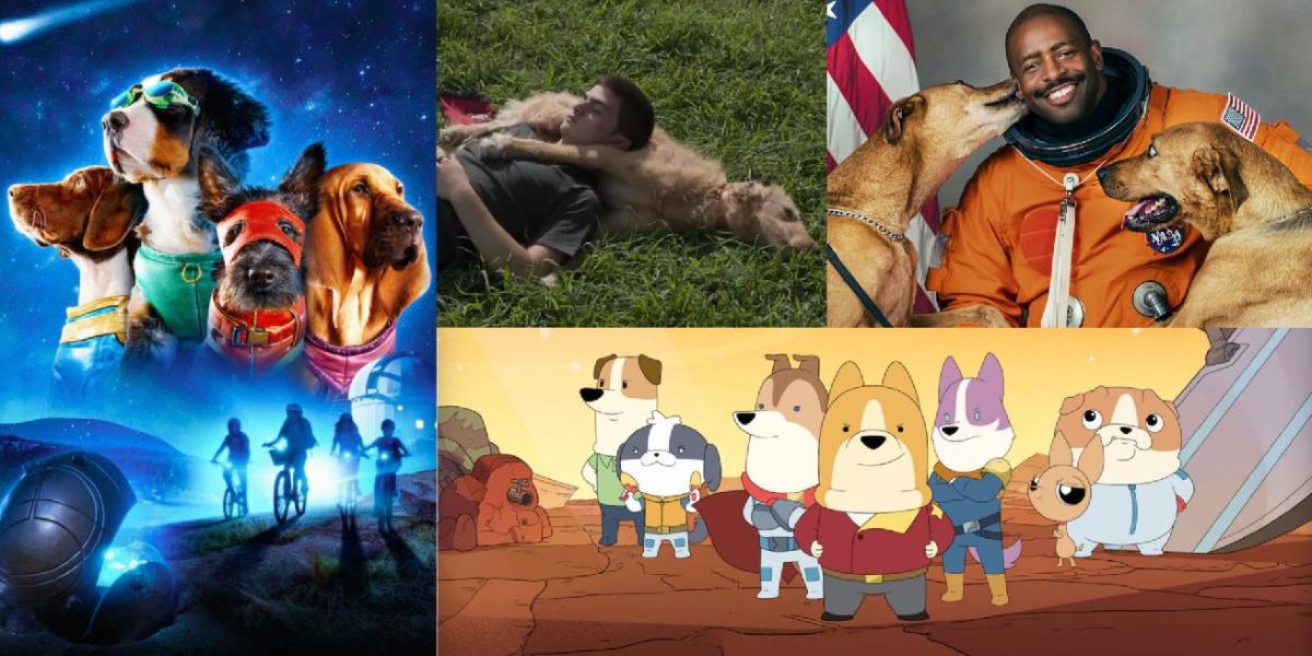 6 melhores filmes e programas da Netflix para amantes de cães