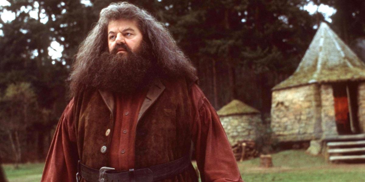 Buracos na trama de Harry Potter que os filmes corrigiram Hagrid