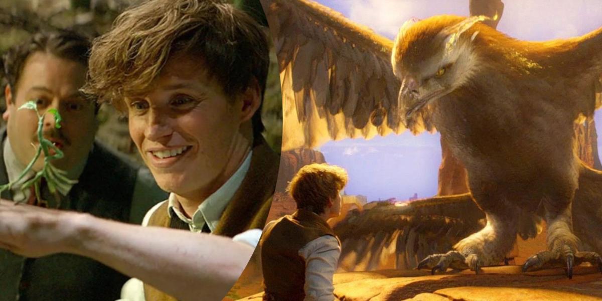 Os zoólogos mais icônicos de Harry Potter Newt Scamander