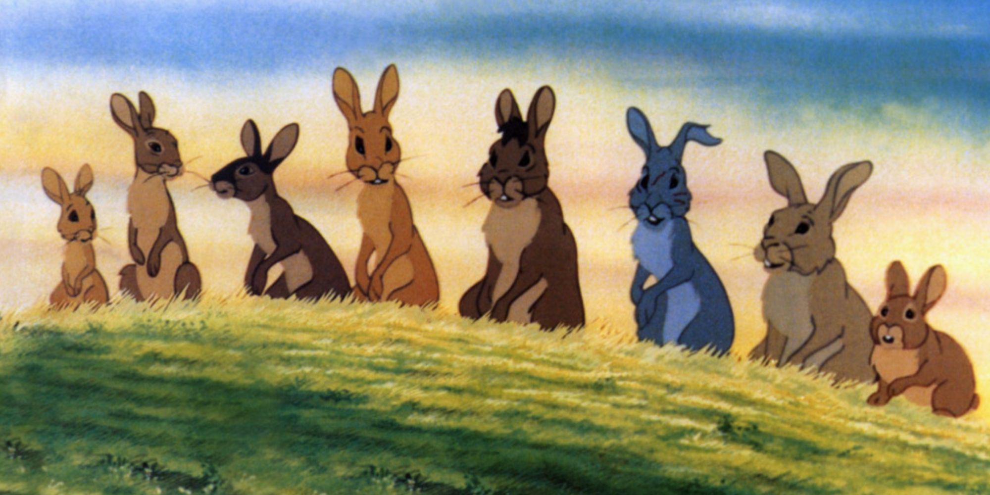 7 melhores filmes com coelhos