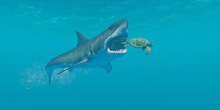 7 tubarões mais realistas em videogames