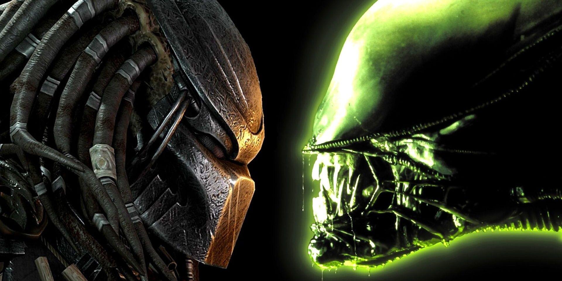 Alien vs. predador