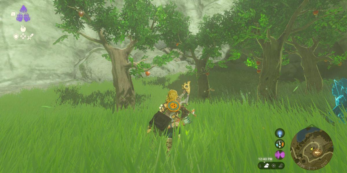 Link corre em direção a macieiras em Tears of the Kingdom