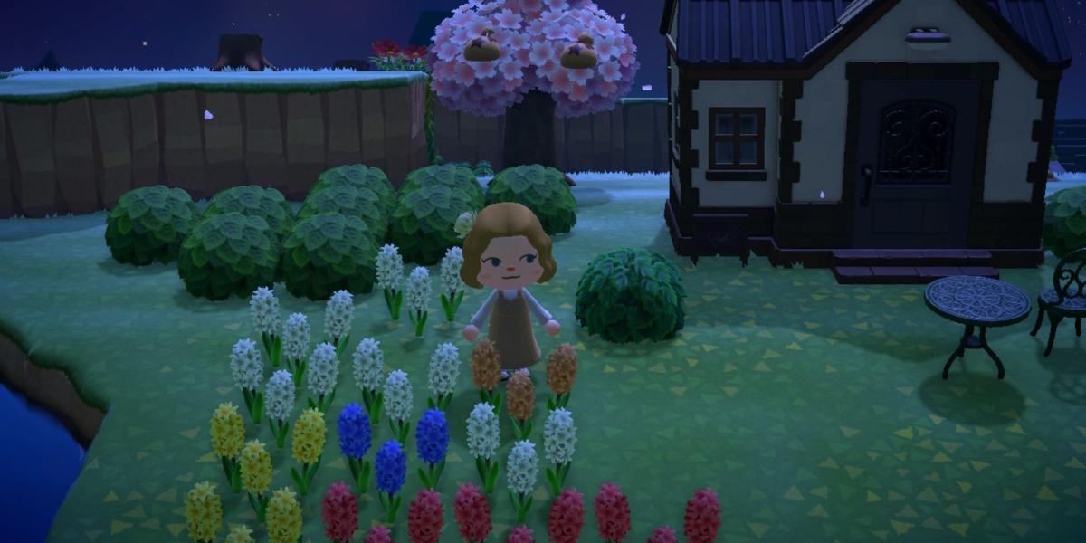 O personagem do jogador está parado em um pequeno campo de flores que fica em frente à casa de um aldeão