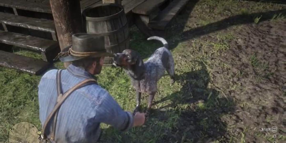 Adorável clipe de Red Dead Redemption 2 mostra cães lutando entre si
