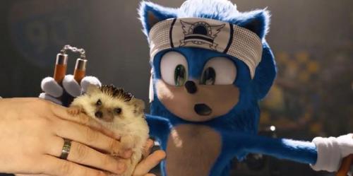 Alguém trouxe seu ouriço de estimação para ver Sonic the Hedgehog