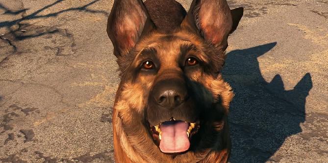 Animais populares de videogame baseados na vida real, como Dogmeat de Fallout 4