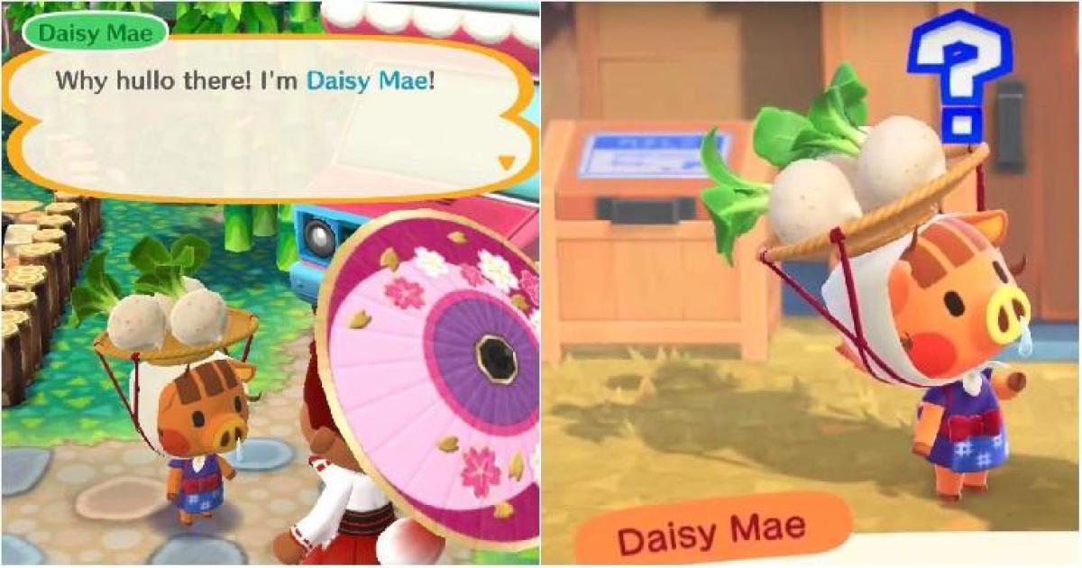 Animal Crossing: 10 perguntas não respondidas que ainda temos sobre Daisy Mae