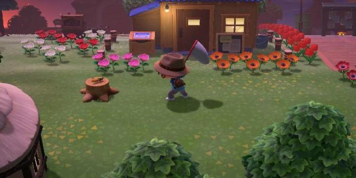 Animal Crossing: Bugs da New Horizons formam Clube da Luta no Museu
