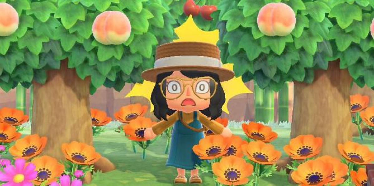 Animal Crossing New Horizons: 10 coisas que novos jogadores fazem que arruínam o jogo