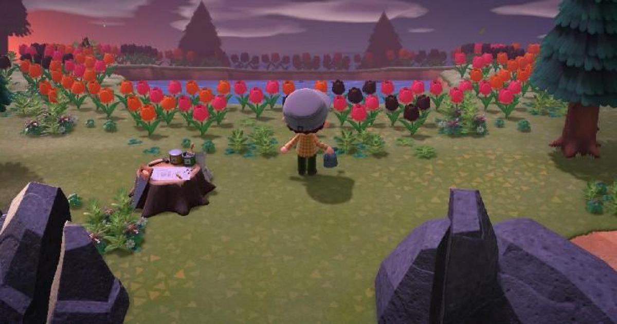 Animal Crossing New Horizons: 10 dicas profissionais para captura de bugs