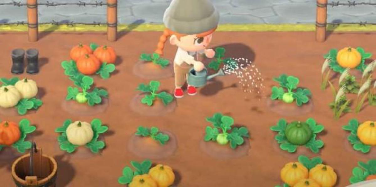 Animal Crossing: New Horizons – Como mudar a cor da abóbora