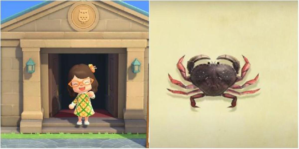Animal Crossing: New Horizons – Como obter um caranguejo Dungeness