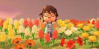 Animal Crossing: New Horizons Custom Path Trick impede que as flores se espalhem