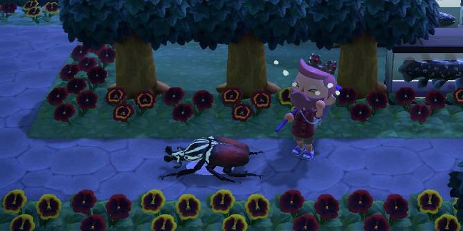 Animal Crossing: New Horizons: novos bugs de setembro