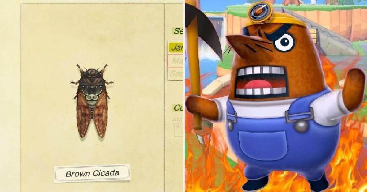 Animal Crossing New Horizons: Piores Criaturas, Classificado
