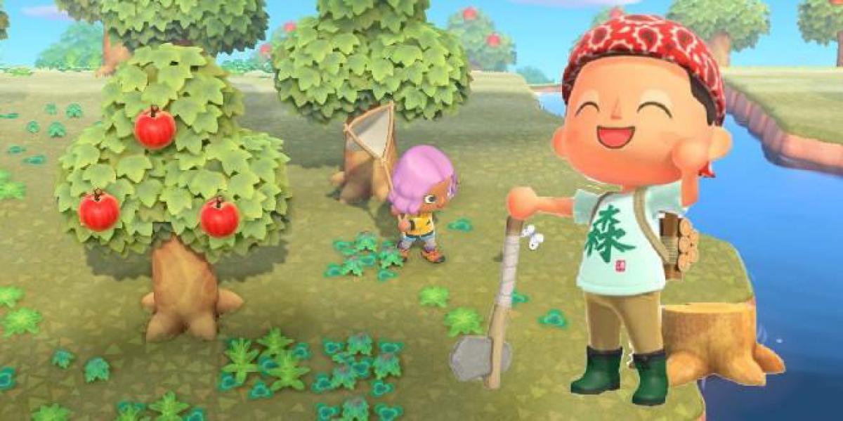 Animal Crossing: New Horizons Player compartilha recursos que o jogo precisa