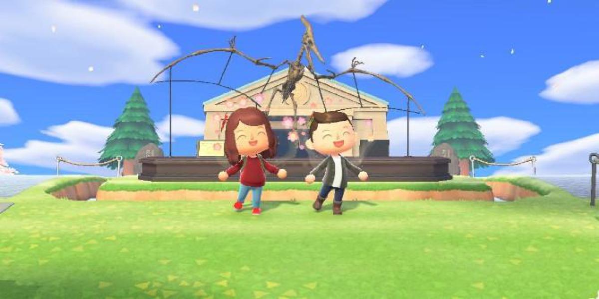 Animal Crossing: New Horizons precisa de cooperação local mais robusta