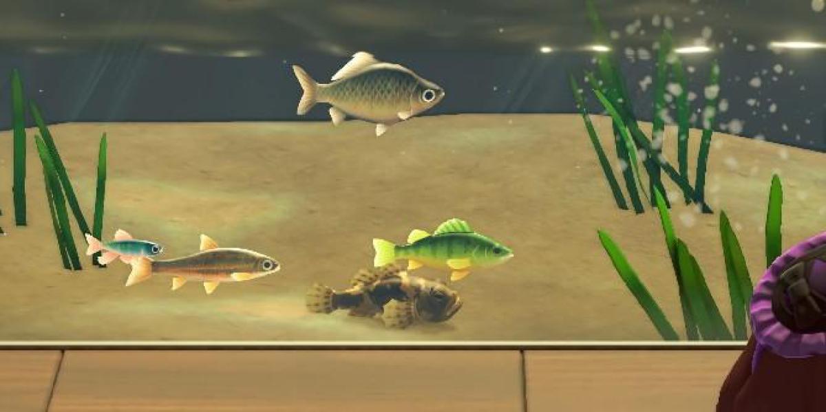 Animal Crossing: New Horizons – Quais peixes pegar no dia