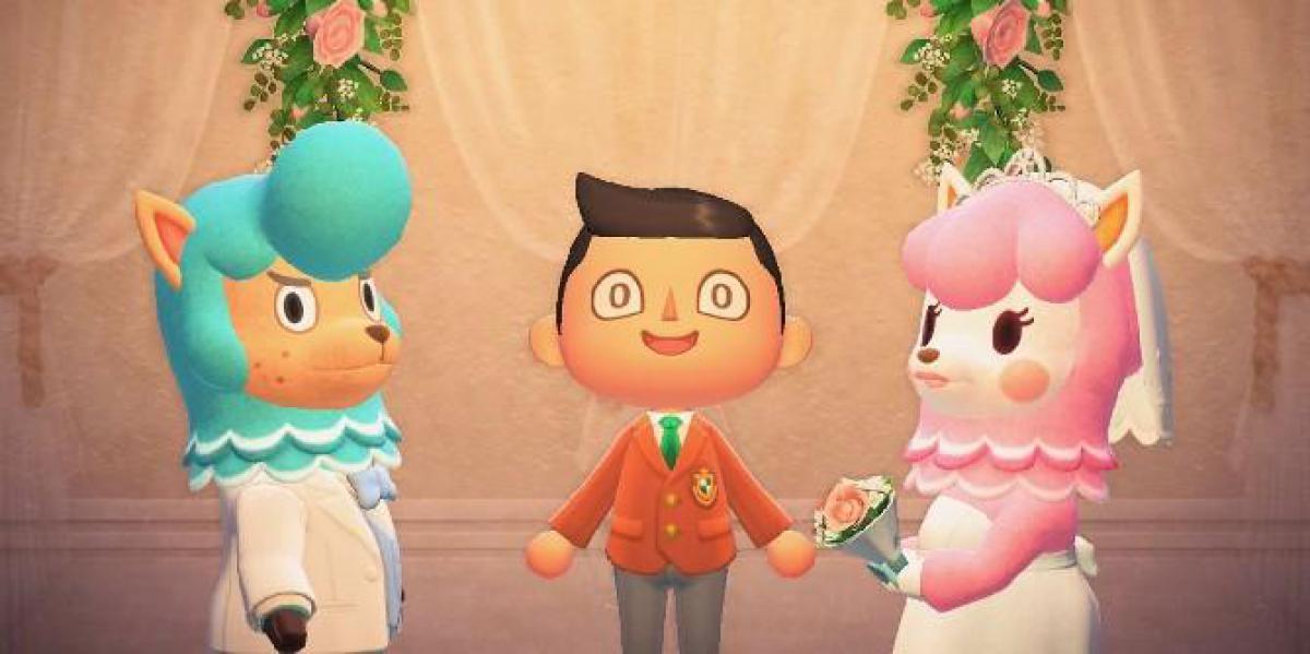 Animal Crossing: New Horizons – Quem são Reese e Cyrus?