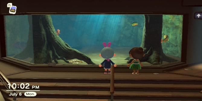 Animal Crossing: New Horizons Sea Creatures para novembro de 2020