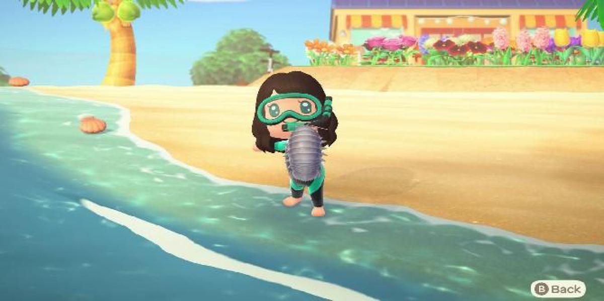 Animal Crossing: New Horizons – Todas as novas criaturas marinhas para janeiro de 2021