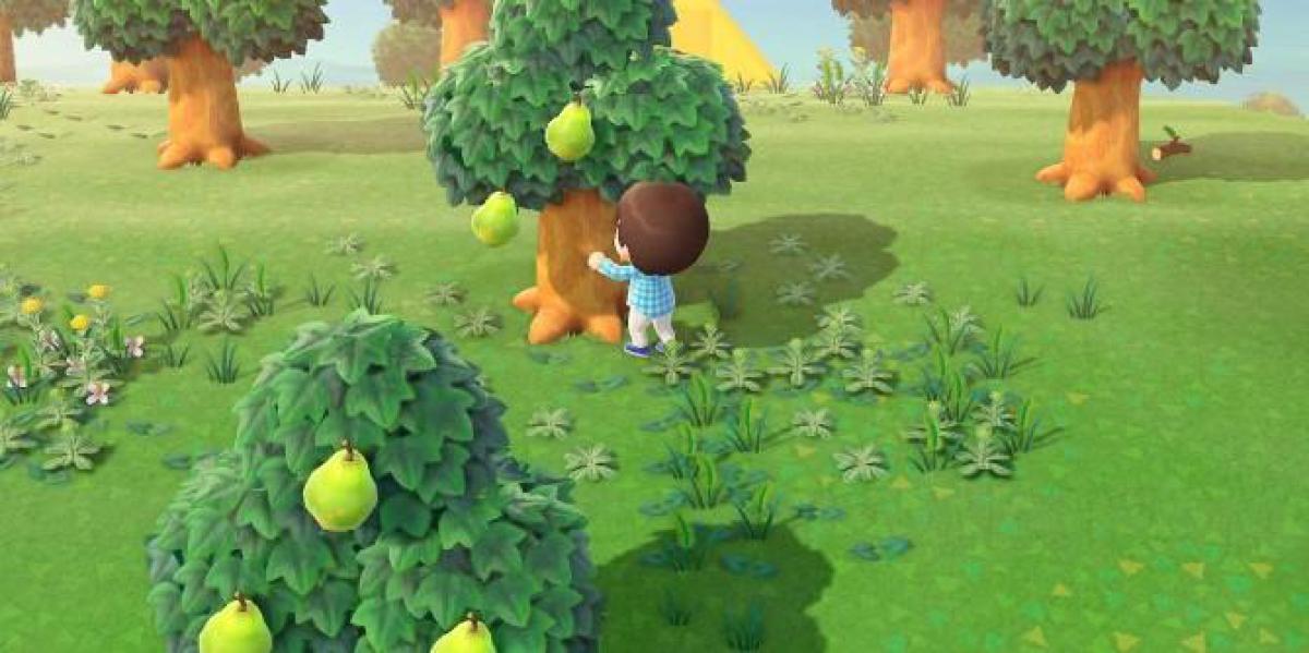Animal Crossing: New Horizons – Você precisa regar árvores?