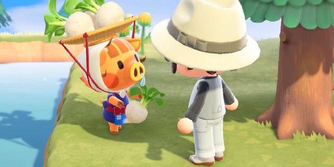 Animal Crossing: os jogadores da New Horizons podem usar essas ferramentas feitas por fãs para obter os melhores preços, designs e muito mais