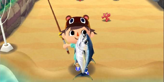 Animal Crossing Pocket Camp: tudo o que você precisa saber sobre peixes