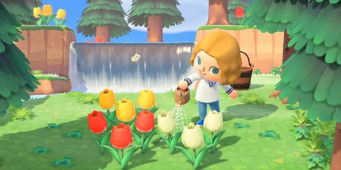 Animal Crossing: Resumo da revisão da New Horizons