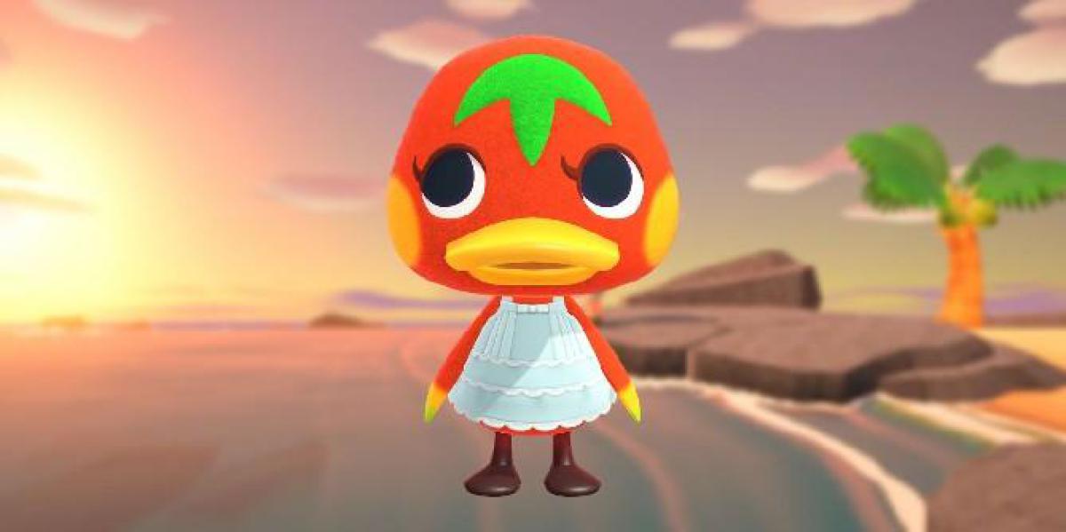 Animal Crossing: tudo o que você precisa saber sobre ketchup (aniversário, personalidade e mais)