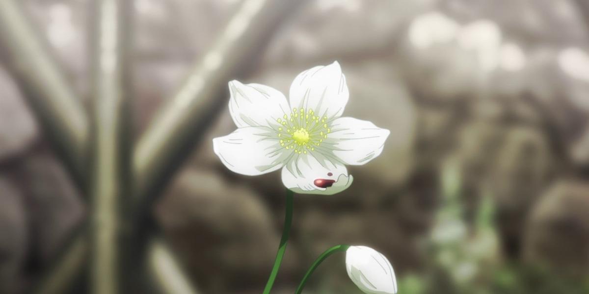 Simbolismo da flor de ameixa – Hell's Paradise Jigokuraku Episódio 1