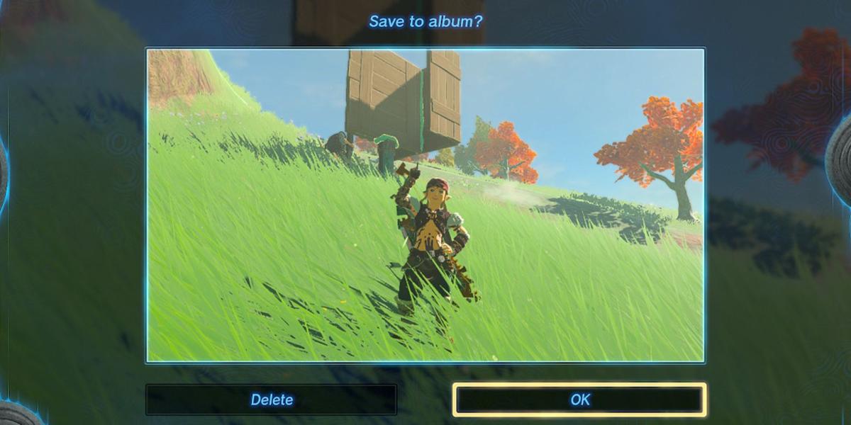 Zelda Tears Of The Kingdom - Link apontando para cima para construção de letreiro finalizada