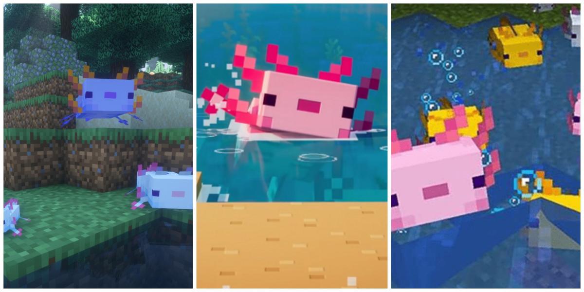 Axolotls no Minecraft: curiosidades e dicas!