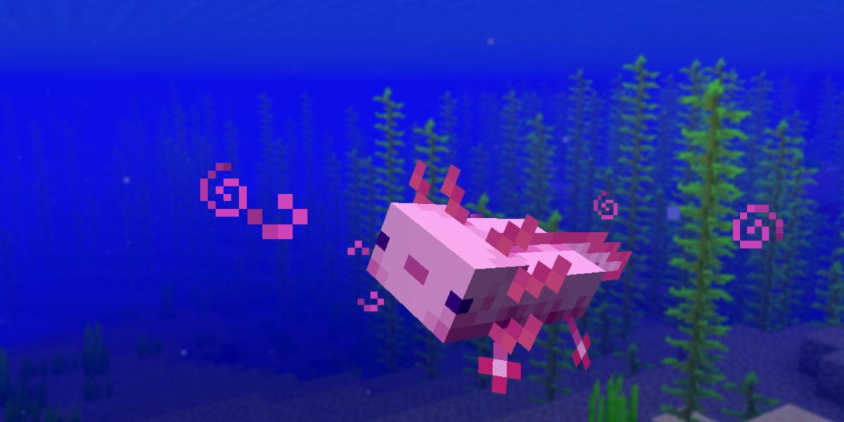 axolotl no mar em minecraft-1