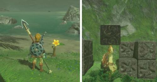 Breath of the Wild: Como obter todas as sementes Korok