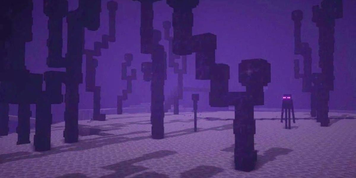 Bug estranho do Minecraft faz com que mobs do mundo superior apareçam no final