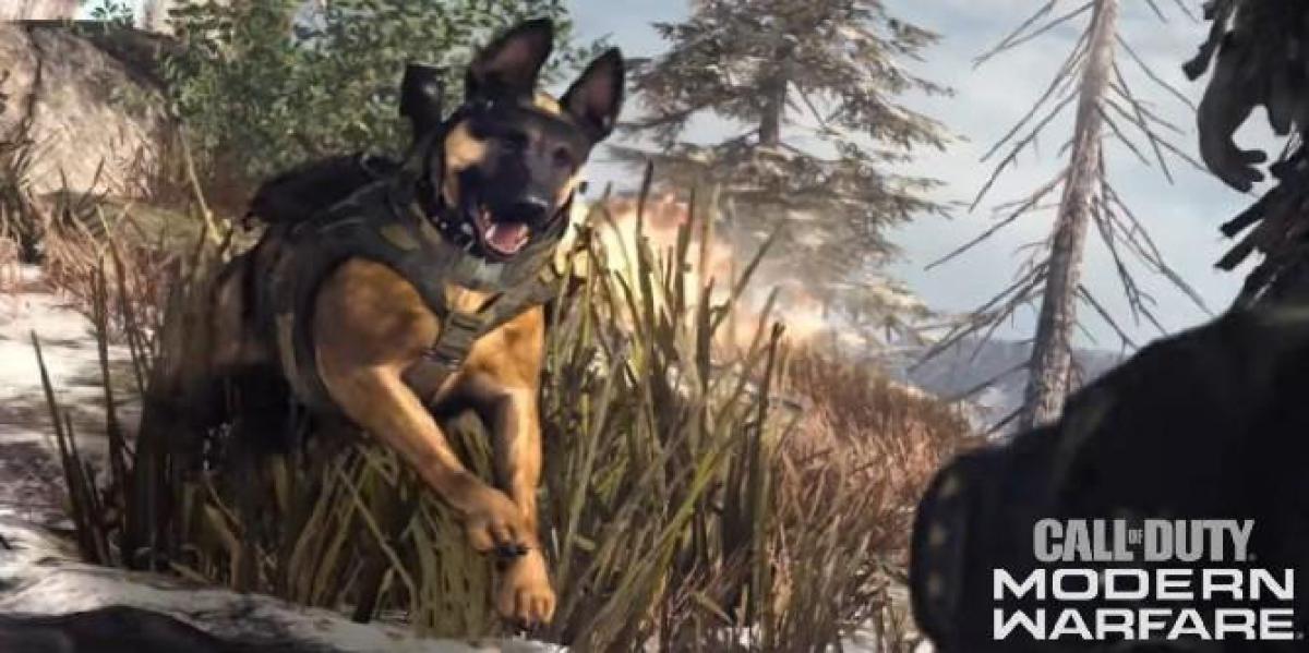 Bug hilário de Call of Duty: Warzone transforma arma em cachorro