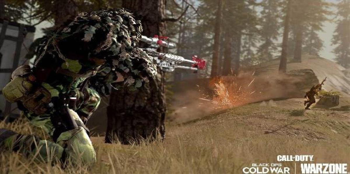 Call of Duty: Warzone Cheater se torna viral após grande erro